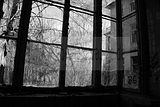 heilanstalt milbitz_184